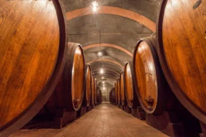 The Essence of Piedmont: Exploring Bersano Gavi di Gavi White Wine