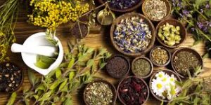 Herbal remedies for erectile dysfunction