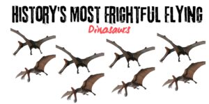 History's Most Frightful Flying