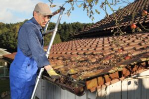 What to Look for in the Best Roof Cleaning Services
