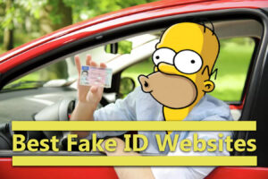 Buy Scannable Fake IDs and Fake Passport for sale Scannabledocuments.com