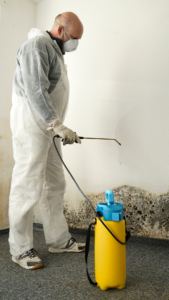 Radiant Homes, Happy Lives: Rainbow Mold Removal Services Shine Bright