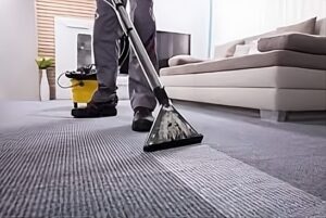 The Clean Carpet Crusade: Your Path to Spotless Floors