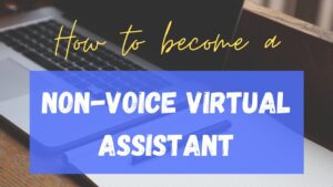 Expert Non-Voice Virtual Assistant