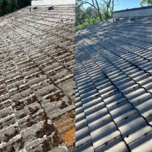 Roof Resplendence: Elevate Your Home’s Appeal with Cleaning Services