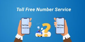 Common Features of Toll Free Number Services