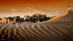 Dubai Desert Safari Tours: New and Exciting