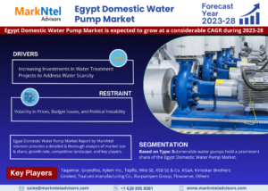 Market Share Dynamics: Analysing Egypt Domestic Water Pump Market’s CAGR Growth Forecast (2023-28)