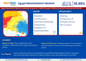 Egypt Masterbatch Market Size, Share, Development Status, Top Manufacturers, And Forecasts -2030